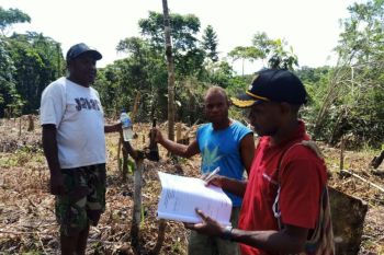 Warga  kampung  wilayah  distrik Yapsi garap pertanian
