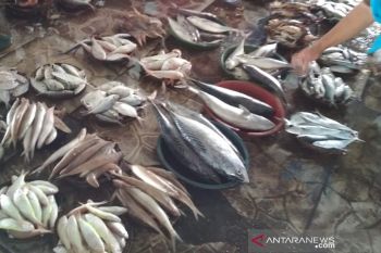 Permintaan ikan laut hasil tangkapan nelayan mulai meningkat