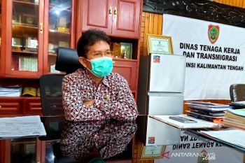 Tidak ada rencana transmigrasi di Kalteng terkait program ketahanan pangan