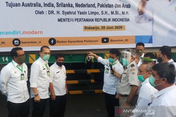 Mentan lepas ekspor sembilan komoditas pertanian Jatim ke 17 negara