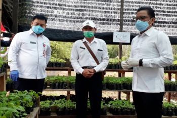 Ibu rumah tangga di Kotim diminta manfaatkan pekarangan bantu ketahanan pangan