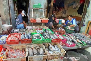 Stabil, harga ikan segar dan sayuran di Solo