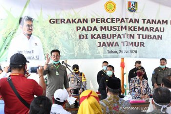 Mentan tegaskan jangan sampai ada lahan menganggur di daerah