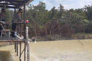 36 desa di Bintan berlomba jadi Desa Tangguh