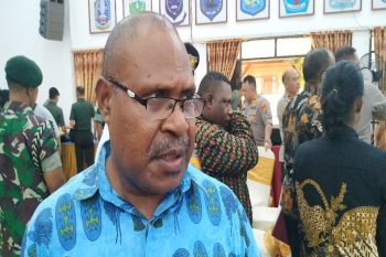 Delapan balon perseorangan ikut pilkada enam kabupaten di Papua