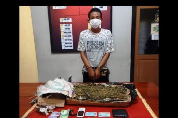 Terima paket 1,49 kilogram ganja dari Medan, pria di Kota Bima diringkus polisi