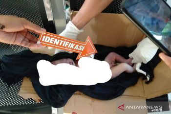 Mayat bayi yang dibuang di pinggir jalan desa Loteng berjenis laki-laki