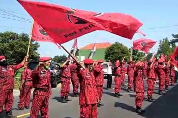 Bendera partai dibakar, PDIP Bantul doakan pelaku insaf