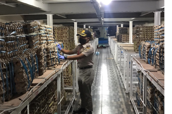 Karantina Pertanian Manado sertifikasi puluhan ton telur ayam akan diantarpulaukan