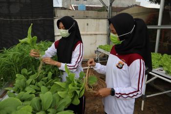Polresta dukung program ketahanan pangan dengan manfaatkan lahan kosong