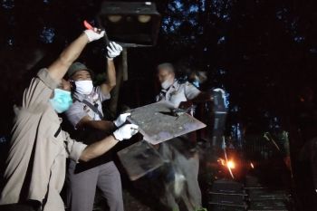Karantina Lampung lepasliarkan 400 ekor burung kacer hasil penahanan