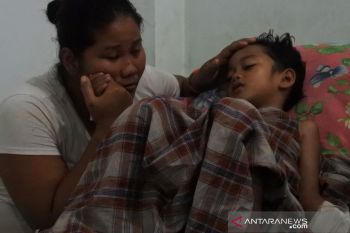 DBD landa  Pekanbaru capai 432 kasus