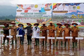 Wakil Gubernur Sumbar canangkan penanaman padi dua kali setahun di Talu Pasaman Barat