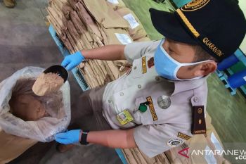Lengkuas Lampung dikirim ke Inggris