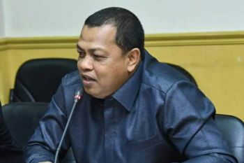 Kondisi dermaga Roro Sungai Selari mengkhawatirkan,  Dewan minta Dishub turun