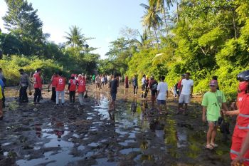 Lombok Utara mencegah abrasi dengan 5.420 bibit mangrove