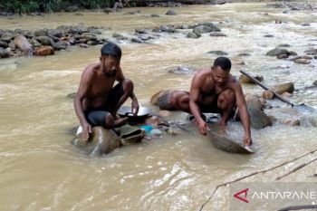 Warga minta penambangan rakyat Korowai tetap beroperasi