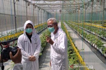 Ganjar ajak petani tanam bahan pangan pendamping beras