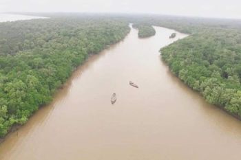 Banyuasin undang investor garap ekowisata di Pulau Ekor Tikus untuk dijadikan wisata andalan