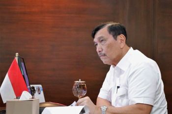 Luhut: Penjaminan kredit modal kerja UMKM ditargetkan Rp100 triliun