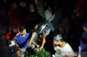 Rabu malam jajaran Polres Agam tangkap pemuda bawa daun ganja, kasus narkoba ke 20