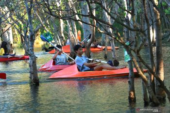 Wisata kano ramai pengunjung