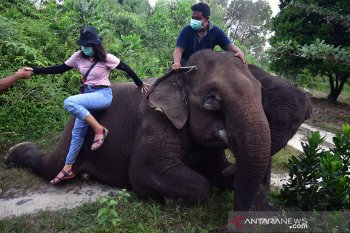 Teso Nilo National Park readies strict health protocols for reopening
