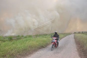 Perusahaan sawit DSI jadi tersangka Karhutla di Riau