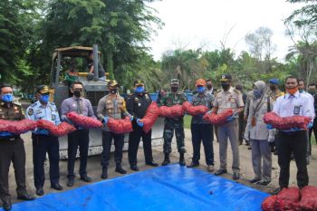 1.155 karung bawang merah ilegal dimusnahkan