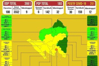 Dinkes : Enam wilayah di Lampung masuk zona hijau