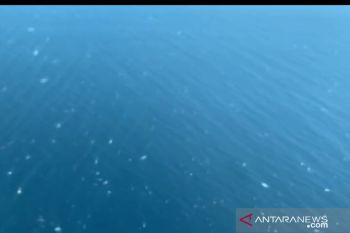 Dimonim Air bantu cari korban kapal tenggelam dari udara