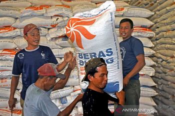Bulog hadirkan layanan pengaduan kualitas beras bansos