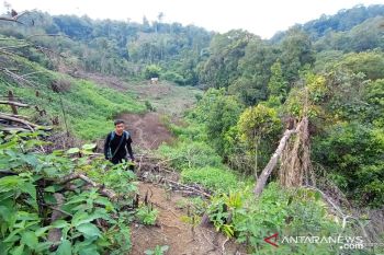 BKSDA Imbau warga waspada Karhutla saat kemarau Juni-Oktober 2020