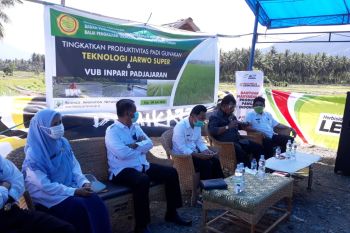 BPTP Sulteng bantu Pemkab Sigi  percepat pemulihan pertanian