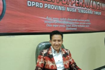 Pemprov NTT diminta aktifkan kembali cabang Dinas Pendidikan