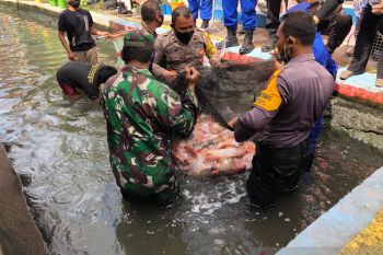 Ponggalan jadi Kampung Tangguh Nusantara di Yogyakarta