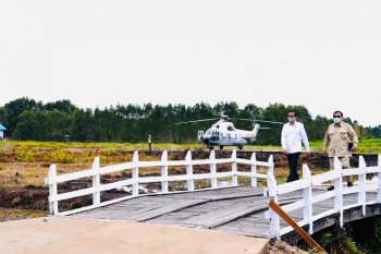 Jokowi kunjungi Lumbung Pangan Nasional di Kapuas Kalimantan Tengah