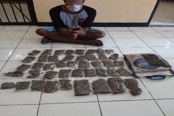Dua pengedar ganja di Jayapura dan Keerom ditangkap, satu warga PNG