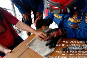 Akhirnya Lusi terbebas dari cincin di jari manisnya