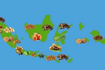 Jalur rempah-rempah bagian penting peradaban bangsa