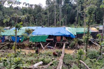 Meraup rejeki butiran emas di tambang Korowai