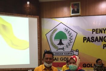 Ansar-Marlin  diusung Golkar-NasDem  dalam Pilkada Kepri 2020