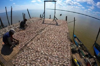 Permintaan ikan asin Jambi selama pandemi