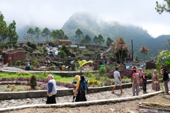 Pemkab Gunung Kidul mengembangkan agrowisata Karang Raya Ecopark