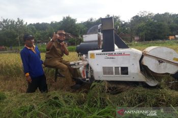 Gunung Kidul bangun irigasi perpompaan airi 45 hektare