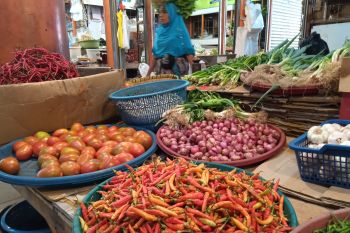 Harga cabai merah mulai naik jadi Rp22.000 per kilogram di Pasar Raya Padang