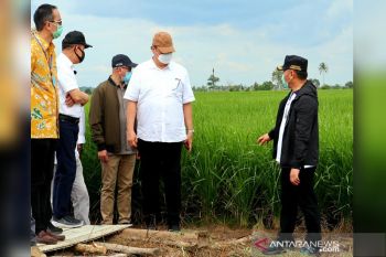 Pemerintah siapkan anggaran jaringan irigasi 'food estate' 2021-2023