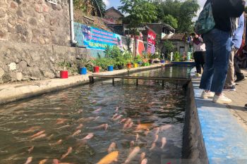 Penataan kawasan kumuh Winongo Yogyakarta dilanjutkan