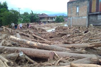 Di Luwu Utara, banjir bandang akibatkan 223 rumah rusak berat