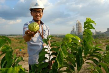 Semen Gresik ubah lahan tandus jadi sentra buah